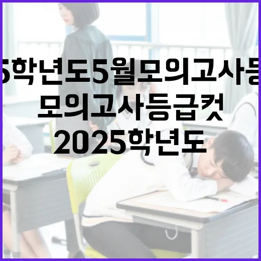 2025학년도 5월 모의고사 등급컷 이해하고 대비하는 방법 - 요약