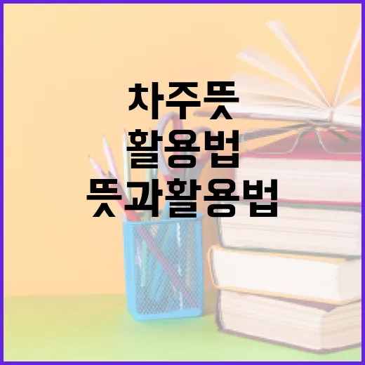 차주 뜻과 활용법 이해하기 - 요약