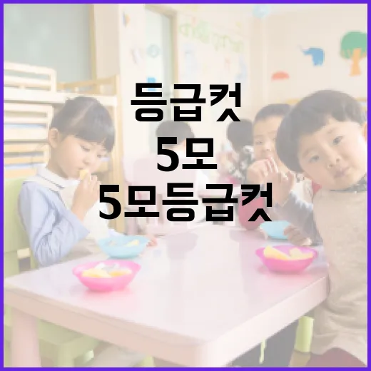 5모 등급컷을 효과적으로 이해하는 방법 - 요약