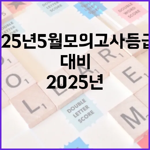 2025년 5월 모의고사 등급컷을 이해하고 대비하는 방법 - 요약