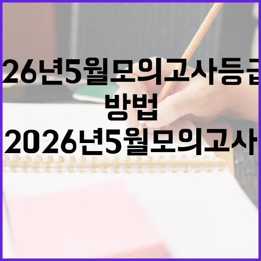 2026년 5월 모의고사 등급컷 이해하는 방법 - 요약