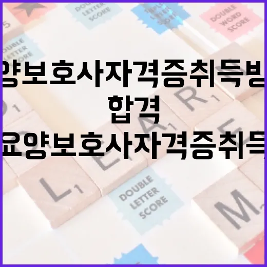 요양보호사 자격증 취득 방법: 준비부터 합격까지 - 요약