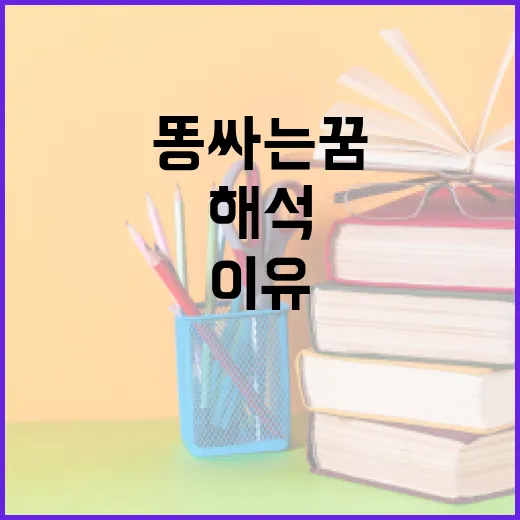 똥싸는 꿈을 꾸는 이유와 해석하는 방법 - 요약