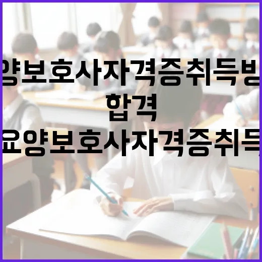 요양보호사 자격증 취득 방법: 준비부터 합격까지 - 요약