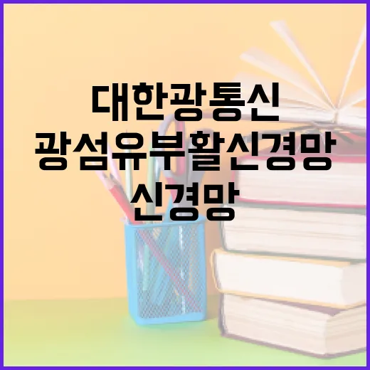 대한광통신의 광섬유 부활 신경망 이해하기 - 요약