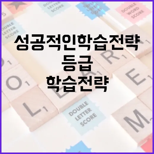 5등급 비율 높이는 방법: 성공적인 학습 전략 - 요약