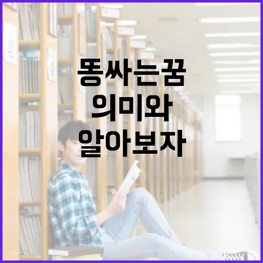 똥 싸는 꿈 해석하는 방법: 의미와 상징을 알아보자 - 요약