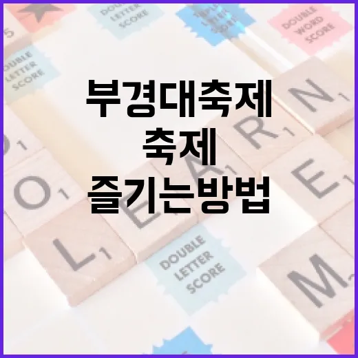 부경대 축제를 최대한 즐기는 방법 - 요약