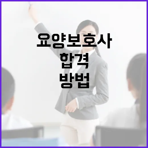 요양보호사시험 합격하는 방법 - 요약