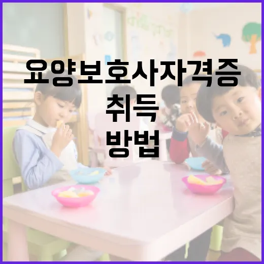 요양보호사 자격증을 취득하는 방법 - 요약