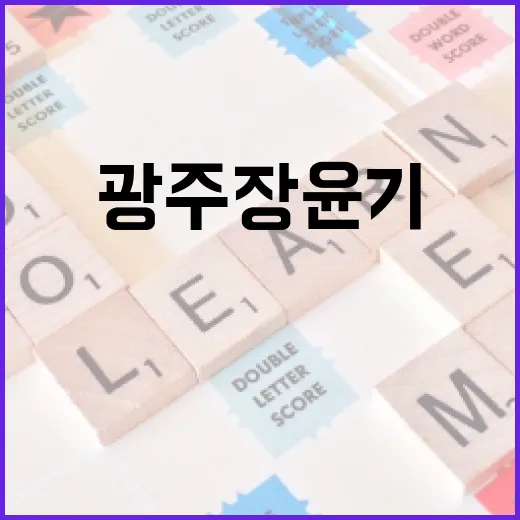 광주 장윤기를 알아보는 방법 - 요약