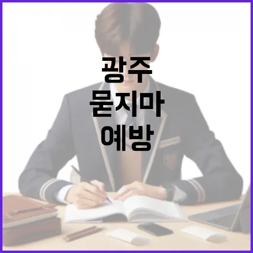 광주에서 묻지마 폭력을 예방하는 방법 - 요약