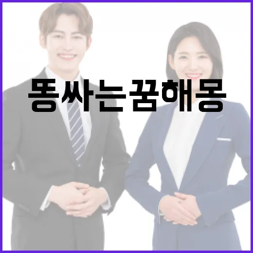 똥 싸는 꿈 해몽과 해석하는 방법 - 요약