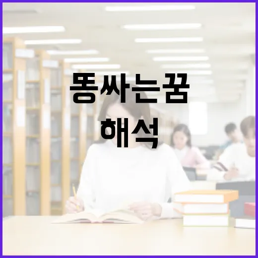 똥싸는 꿈을 해석하는 방법 - 요약