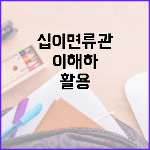 십이면류관을 이해하고 활용하는 방법 - 요약