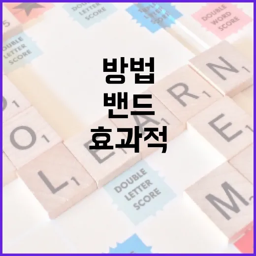 밴드 큰그림을 효과적으로 운영하는 방법 - 요약