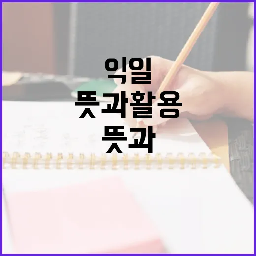 이수익 유등제를 즐기는 방법: 완벽한 가이드 - 요약