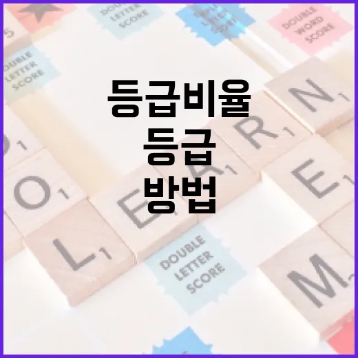 5등급 비율을 줄이는 방법 - 요약