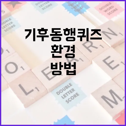 기후동행퀴즈로 환경 인식을 높이는 방법 - 요약