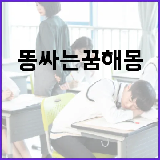 똥싸는 꿈 해몽과 의미 알아보기 - 요약