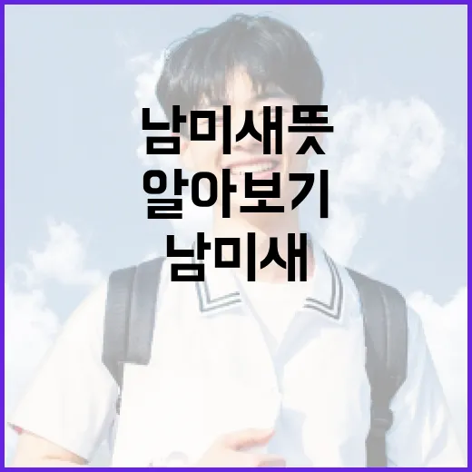 남미새 뜻과 활용 방법 알아보기 - 요약
