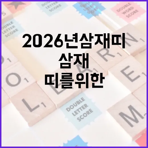 2026년 삼재띠를 위한 생존 가이드 - 요약