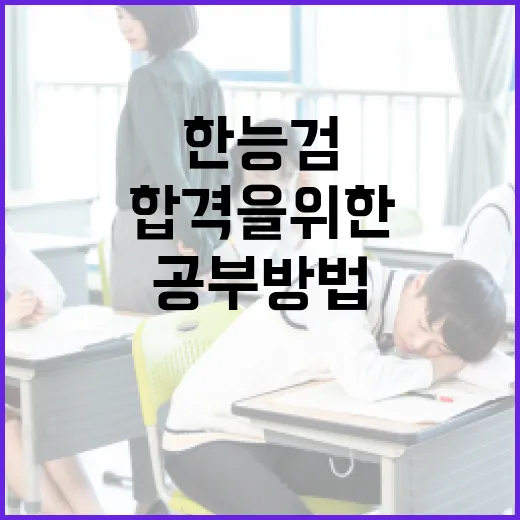 한능검 합격을 위한 효과적인 공부 방법 - 요약