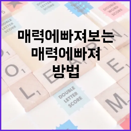 입실렌티, 그 매력에 빠져보는 방법 - 요약