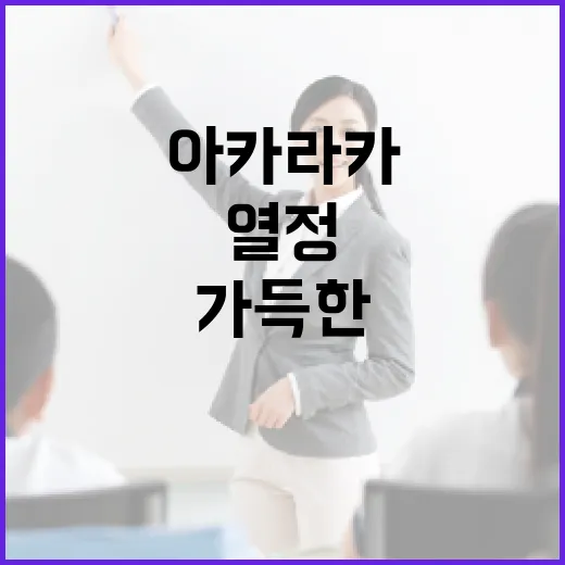 아카라카: 열정 가득한 축제의 모든 것 - 요약