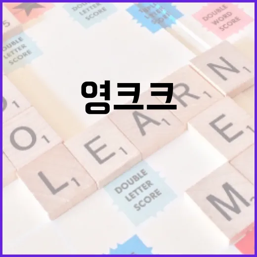 영크크 제대로 즐기는 방법 - 요약
