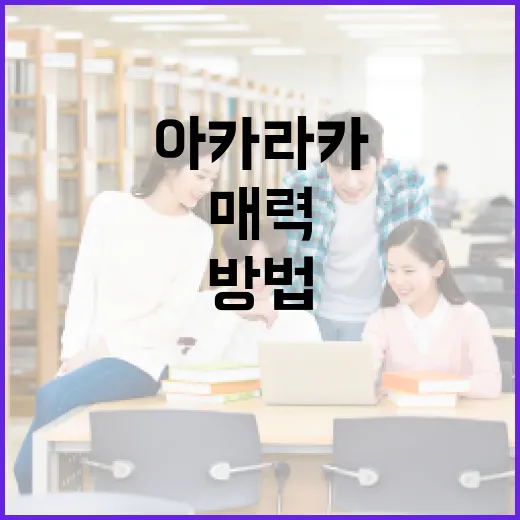 아카라카의 매력, 그 특별한 순간을 경험하는 방법 - 요약