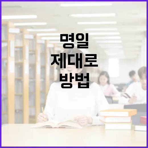 명일을 제대로 준비하는 방법 - 요약