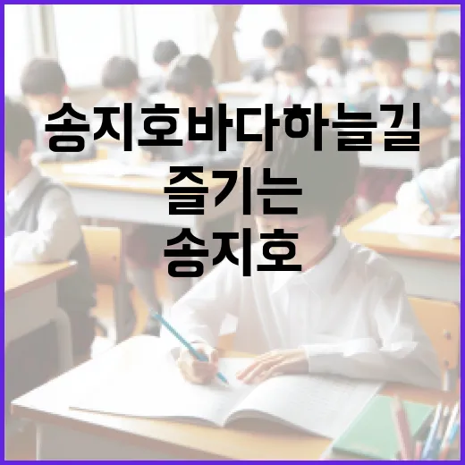 송지호 바다하늘길을 제대로 즐기는 방법 - 요약