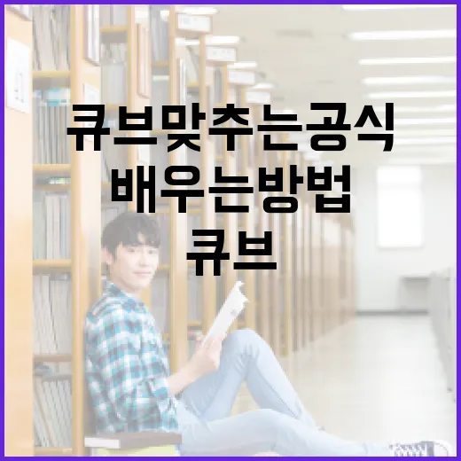 큐브 맞추는 공식: 쉽고 빠르게 배우는 방법 - 요약