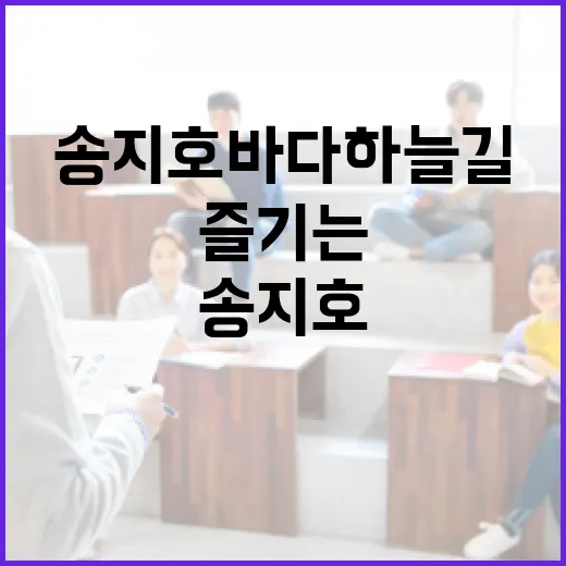 송지호 바다하늘길을 제대로 즐기는 방법 - 요약
