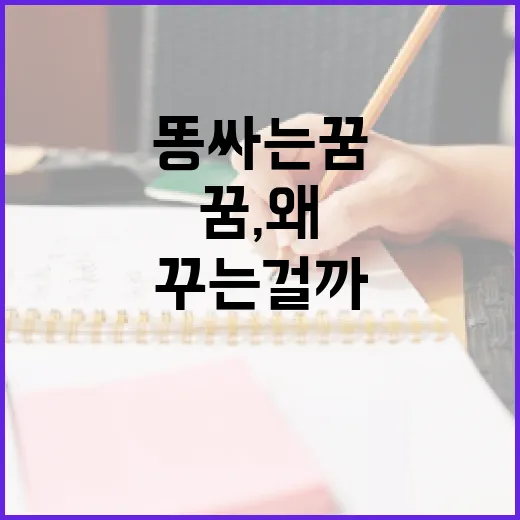똥싸는 꿈, 왜 꾸는 걸까? 알아보는 방법 - 요약