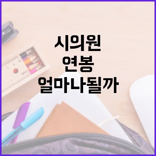 시의원 연봉, 얼마나 될까요? - 요약
