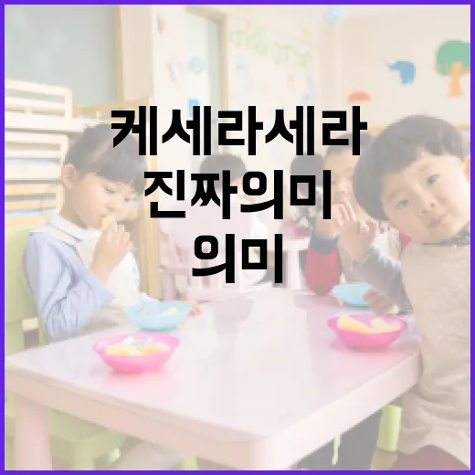 케세라세라의 진짜 의미와 활용법 - 요약