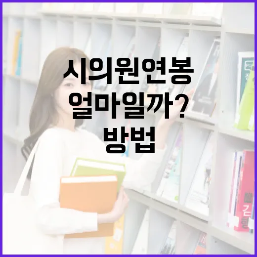 시의원 연봉, 정말 얼마일까? 알아보는 방법 - 요약