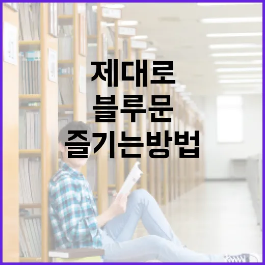 블루문을 제대로 즐기는 방법 - 요약