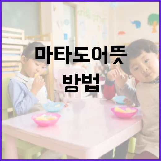 마타도어 뜻과 그 활용 방법 - 요약