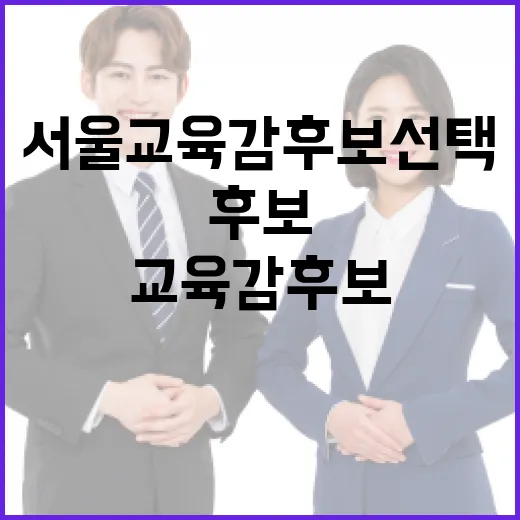 서울교육감 후보 선택, 이렇게 해보세요 - 요약
