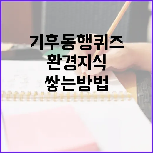 기후동행퀴즈로 환경 지식을 쌓는 방법 - 요약