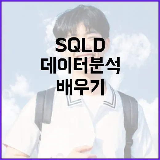 데이터 분석을 위한 SQld 기초 배우기 - 요약