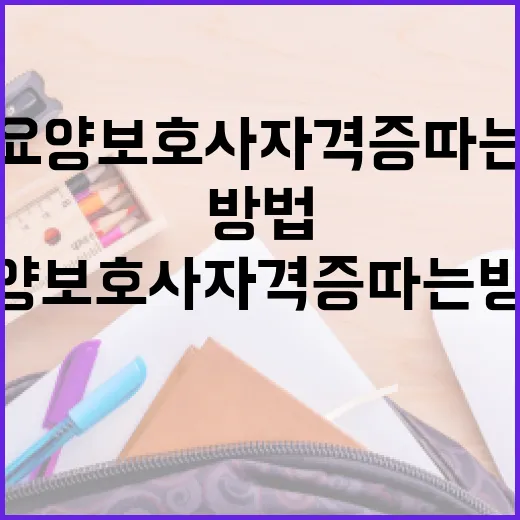 요양보호사 자격증 따는 방법, 이렇게 시작해보세요 - 요약