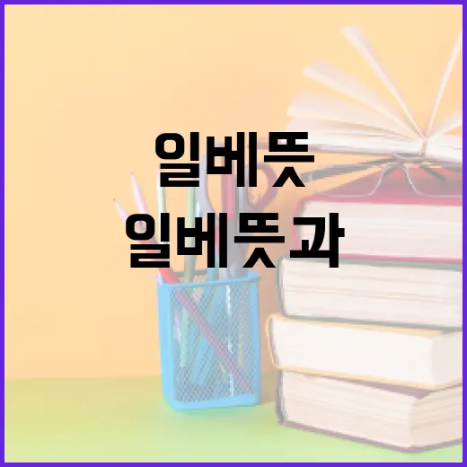 일베 뜻과 그 영향력, 그리고 우리의 생각 - 요약