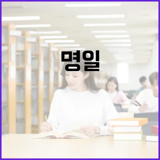 명일의 뜻과 활용법 알아보기 - 요약