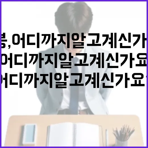 시의원 연봉, 어디까지 알고 계신가요? - 요약