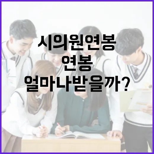 시의원 연봉, 얼마나 받을까? 알아보는 방법 - 요약