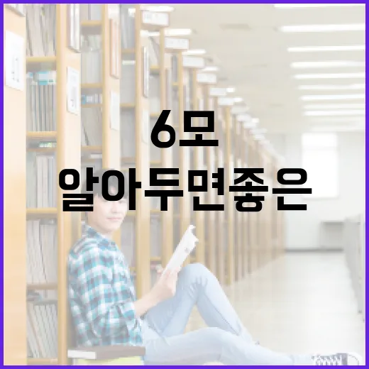 2026년 6모 답지, 알아두면 좋은 팁 - 요약